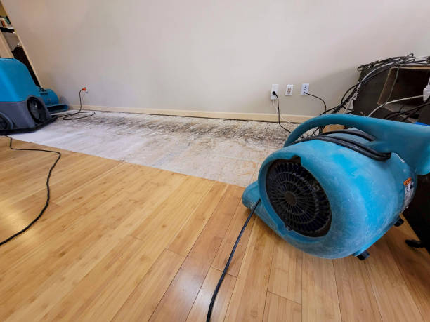 Reliable Basement Flood Cleanup contractor in Oriska, ND by Hirex Water Damage
