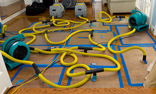 Professional Basement Flood Cleanup technician working in Oriska, ND